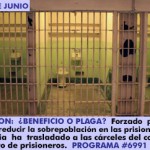 REALINEACION: ¿BENEFICIO O PLAGA?