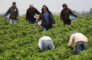 5.-BRACEROS-MEXICANOS