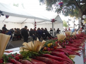  Rabanos, flor inmortal y hoja de maiz elementos para trabajar las esculturas