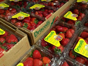 Las fresas y moras de Driscoll se ven en casi todos los supermercados de Estados Unidos. Foto: Mike Mozart via Flickr. Licencia de Creative Commons.