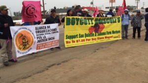 Anunciand el boicot contra Driscoll y la subsidiaria Berry Mex.