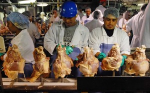 En la línea de producción, trabajando tal vez con pañales. Foto: Oxfam