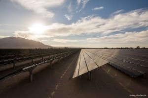 Caption: Nine workers were infected by valley fever at a Cholame Hills solar panel construction project late last year, resulting in a state agency issuing fines to employers for exposing them to the potentially deadly fungal disease. (Photo courtesy First Solar)