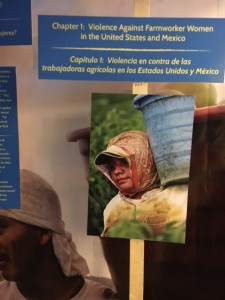 Trabajador agrícola en los campos de tomate de La Florida, captado en plena acción en la foto colgada en una columna informativa de la exhibición, en uno de las paredes de la carpa. Foto: MVG.