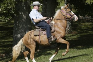 Candidato republicano al senado por Alabama Roy Moore frena su caballo y se queda en casa al ser derrotado por su contrincante demócrata, Doug Jones, en un estado eminentemente republicano. Foto: wordpress. 