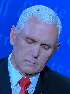 El Vicepresidente de EE UU, Mike Pence, durante el pasado debate. La Mosca es ya personaje célebre de memes y bromas.  