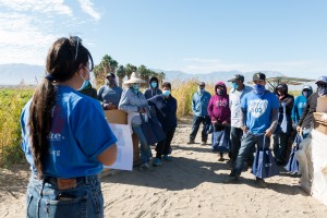 Campesinos en temporada de cosecha y empaque de pimientos en el Vale de Coachella escuchan a Montserrat Gómez explicarles los beneficios de la vacuna.