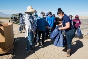 TODEC Executive Director Luz Gallegos hands out bags that include coronavirus vaccine pamphlets, a box each of gloves and masks, hand sanitizer and a gift card to a grocery store.