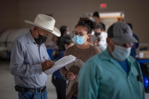 Juana Montoya, de la directiva de Líderes Campesinas, ayuda a solicitar la vacuna a Manuel Calderón, de Guanajuato. Foto: Manuel Ortiz Escámez.