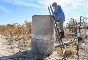 June Moua mira para ver cómo funciona la bomba de agua subterránea en su pequeña granja al oeste de Fowler el martes 19 de octubre de 2021. Foto: CRAIG KOHLRUSS. 