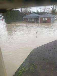 Así lucen los vecindarios de Sumas, por las inundaciones recientes causadas por las fuertes lluvias. Foto: Jesús Barajas. 