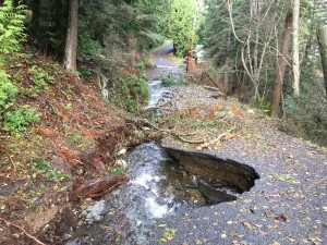 El paso del agua erosionó y rompió caminos interrumpiendo su uso e incomunicado a los habitantes de esas zonas en Washington. Foto: Cortesía de María Padrón FEMA / Dept de Obras Publicas del Condado de Whatcom.