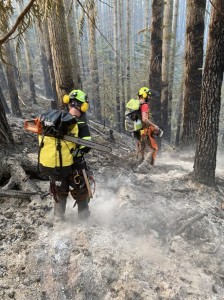 Equipos del Washington State Parks retiran escombros del incendio de Bolk Creek. Foto: Cortesía.