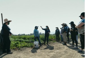 Tania Zúñiga, con la mano en alto en la parcela de María Ana, les habla sobre los retos de los pequeños agricultores. Foto: KTA.